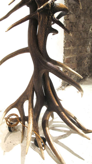 Impressive   deer Antler Floor Lamp