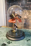 Handmade Butterfly Dome