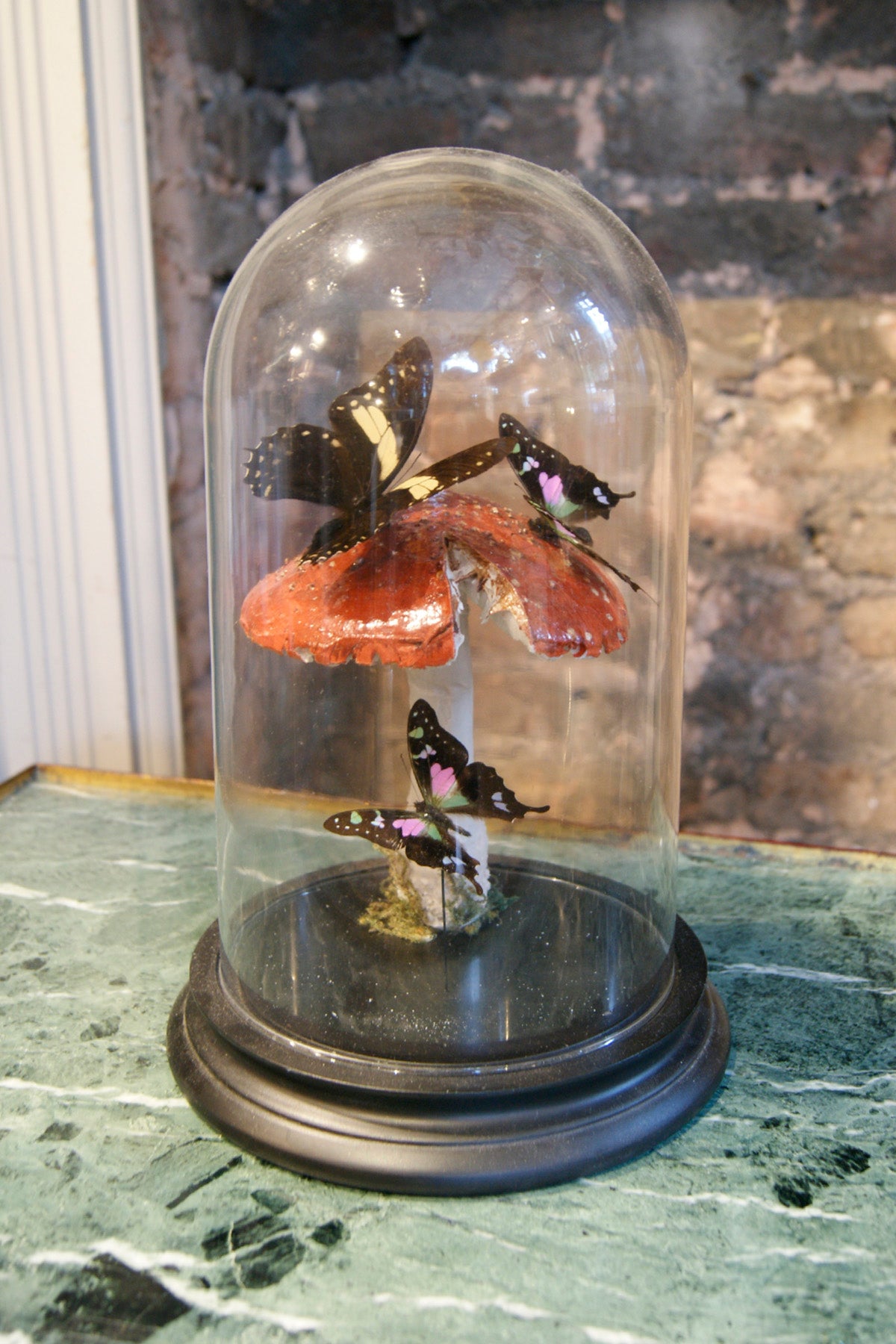 Handmade Butterfly Dome