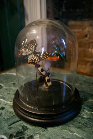 X Small Handmade Butterfly Dome