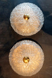 X Pair of Gorgeous Glass Wall Lights with Brass Detail