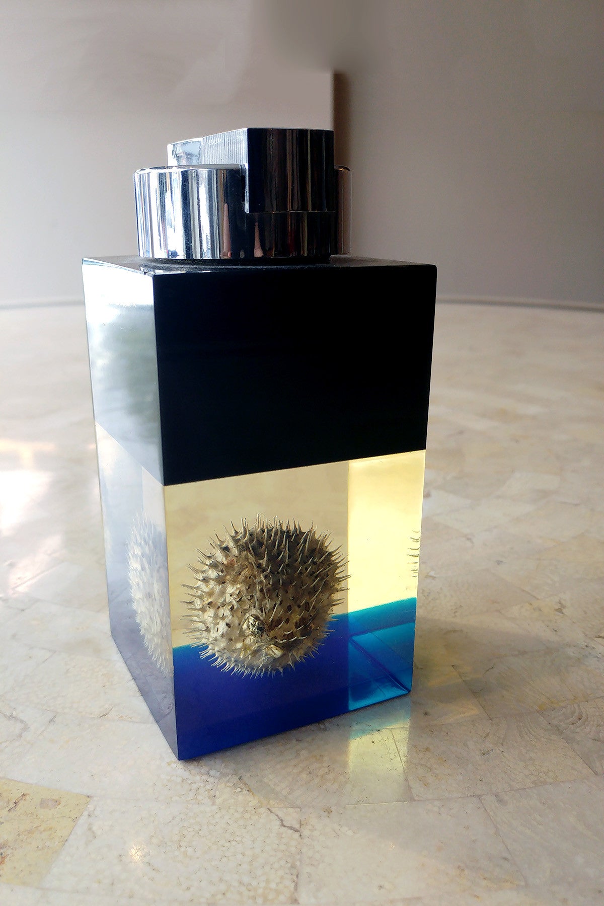 X Unusual Lighter with Encased Pufferfish