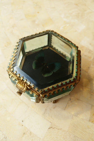 Decorative Box Containing a Butterfly