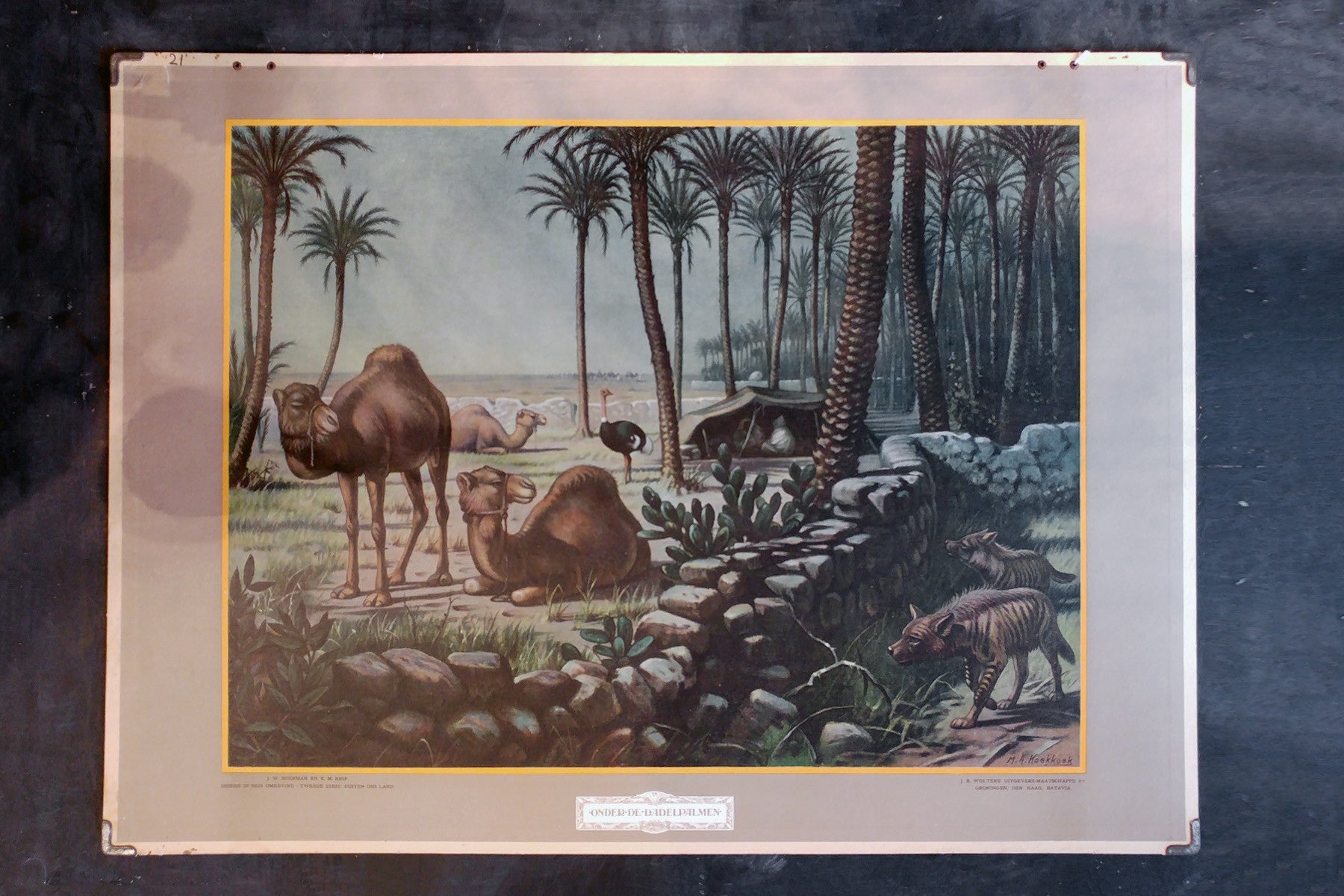 Antique School Poster - Camel